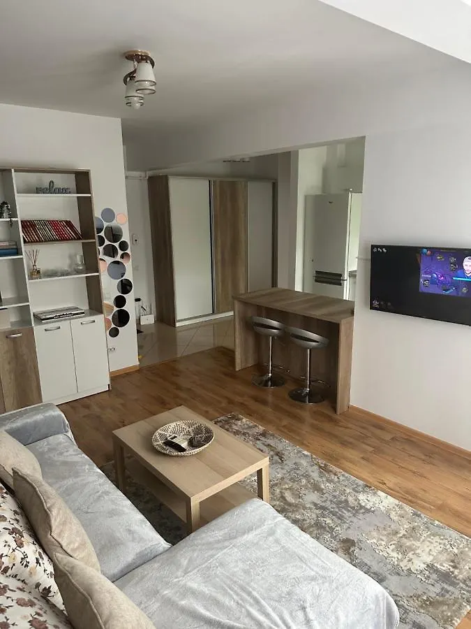 Apartament In Cartierul Verde ! Apartment Bucharest
