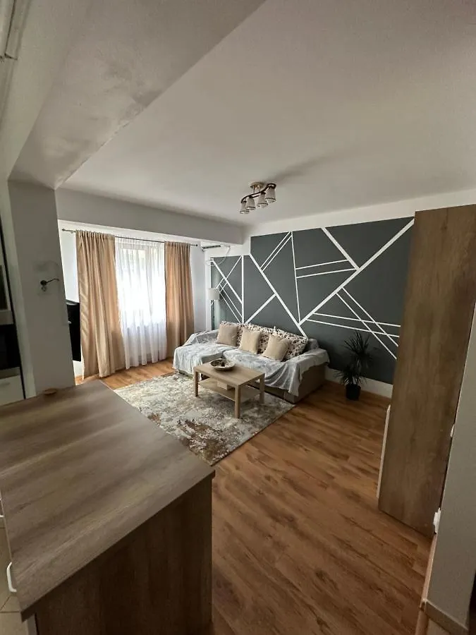 布加勒斯特Apartament In Cartierul Verde !公寓 公寓